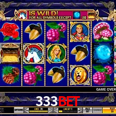 333BET Rio de Janeiro - Bonus Terms